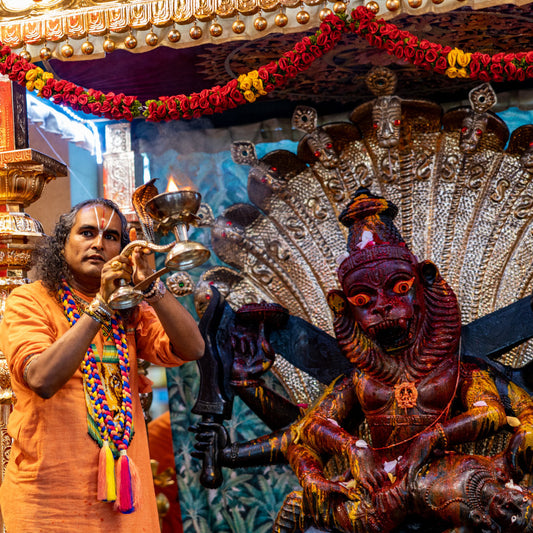 NARASIMHA CHATURDASHI WITH PARAMAHAMSA VISHWANANDA